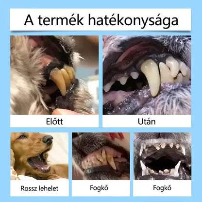 🥇[Hivatalos áruház] CleraNaure® Pet Dental & Digestive Health Oral Liquid – Frissíti a leheletet, eltávolítja a fogkövet, elősegíti az íny regenerálódását és stabilizálja a fogakat (macskák és kutyák számára) – Ma 80% kedvezménnyel!- 🌻