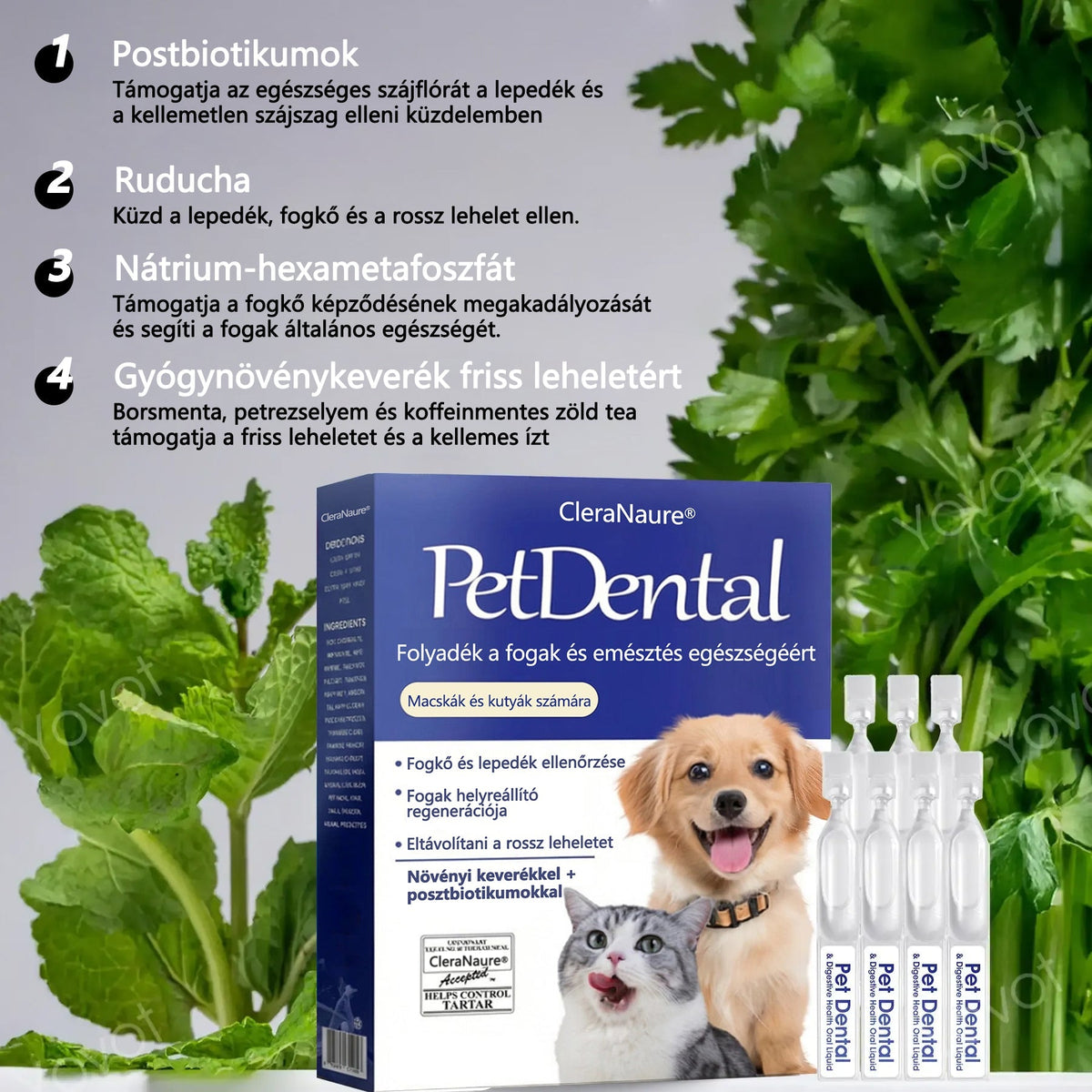 🥇[Hivatalos áruház] CleraNaure® Pet Dental & Digestive Health Oral Liquid – Frissíti a leheletet, eltávolítja a fogkövet, elősegíti az íny regenerálódását és stabilizálja a fogakat (macskák és kutyák számára) – Ma 80% kedvezménnyel!- 🌻